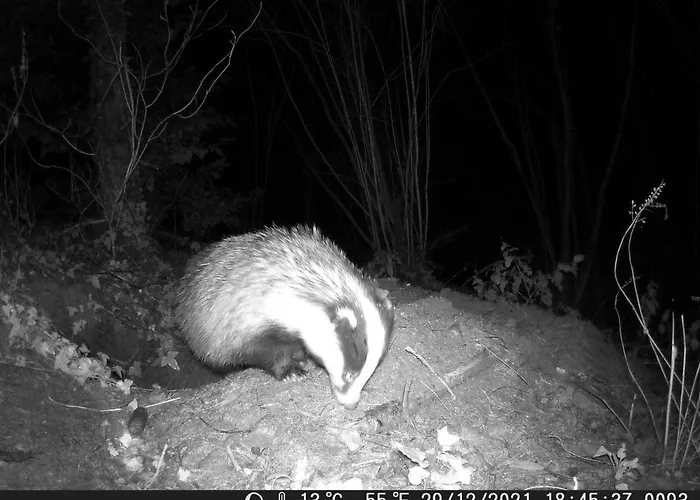 Cantaranne Bed & Breakfast